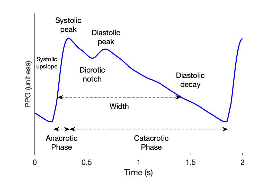 Photoplethysmography Signal Processing and Synthesis | Peter Charlton