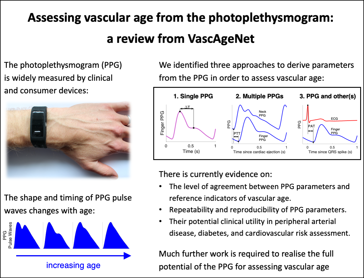 Assessing hemodynamics from the photoplethysmogram to gain insights ...
