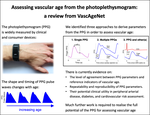 Assessing hemodynamics from the photoplethysmogram to gain insights into vascular age: A review from VascAgeNet